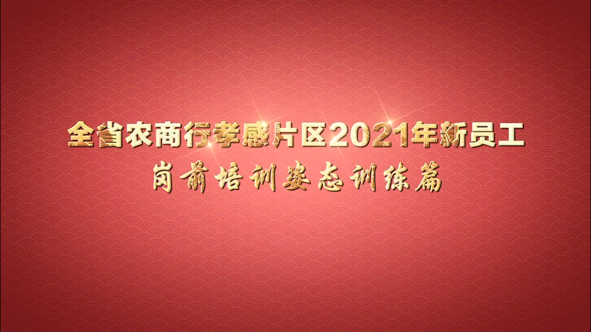 全省農(nóng)商行孝感片區(qū)2021年新員工崗前培訓(xùn)姿態(tài)訓(xùn)練篇